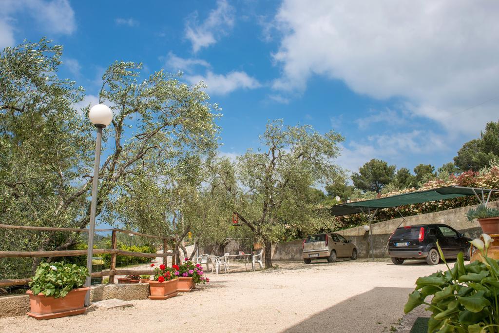 Alba Del Gargano Home Vieste Kültér fotó